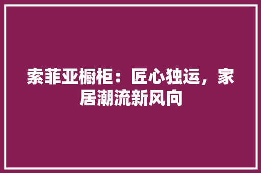 索菲亚橱柜：匠心独运，家居潮流新风向 室内设计