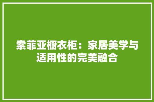 索菲亚橱衣柜：家居美学与适用性的完美融合 室内设计