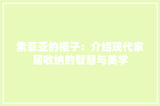索菲亚的柜子：介绍现代家居收纳的智慧与美学