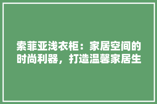索菲亚浅衣柜：家居空间的时尚利器，打造温馨家居生活