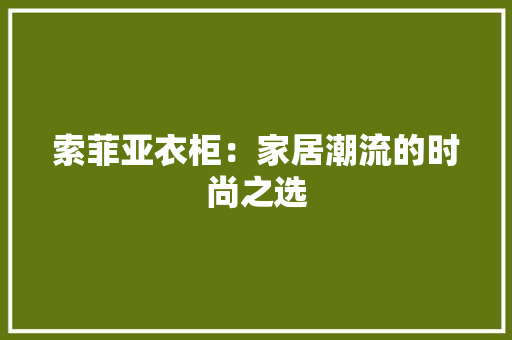 索菲亚衣柜：家居潮流的时尚之选 室内设计