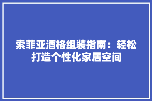 索菲亚酒格组装指南：轻松打造个性化家居空间