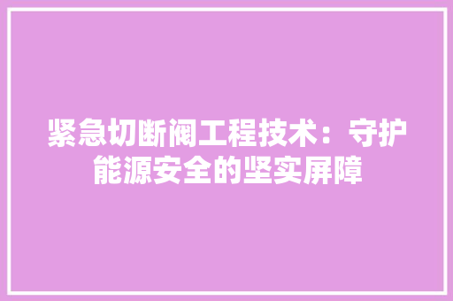 紧急切断阀工程技术：守护能源安全的坚实屏障