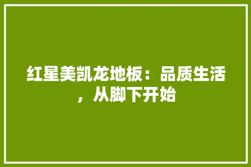 红星美凯龙地板：品质生活，从脚下开始 室内设计
