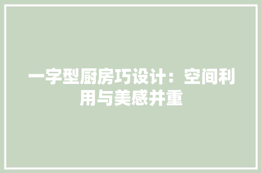 一字型厨房巧设计：空间利用与美感并重