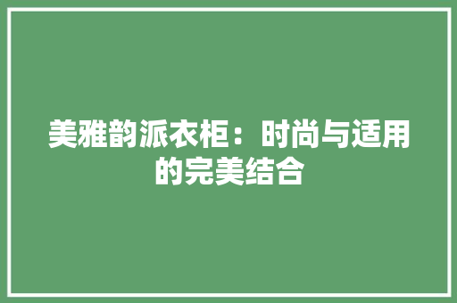美雅韵派衣柜：时尚与适用的完美结合 室内设计