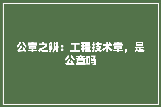 公章之辨：工程技术章，是公章吗