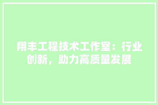 翔丰工程技术工作室：行业创新，助力高质量发展