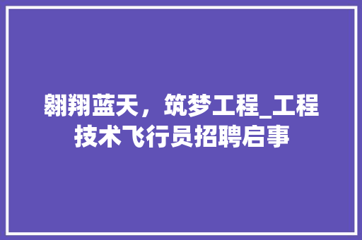 翱翔蓝天，筑梦工程_工程技术飞行员招聘启事 室内设计