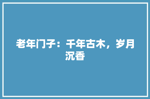老年门子：千年古木，岁月沉香