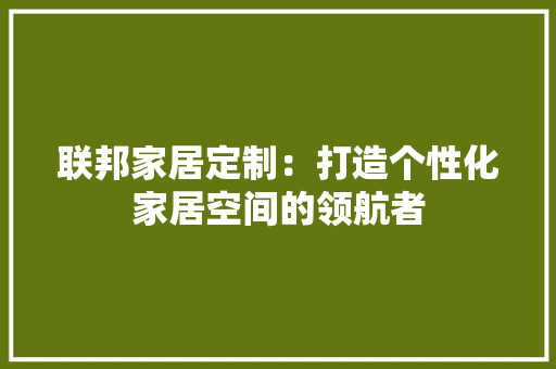 联邦家居定制：打造个性化家居空间的领航者 室内设计