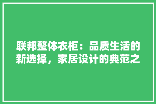 联邦整体衣柜：品质生活的新选择，家居设计的典范之作 室内设计