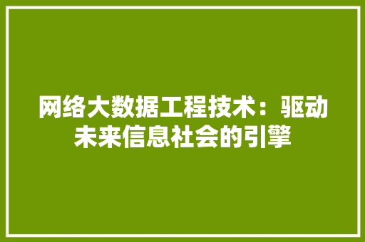 网络大数据工程技术：驱动未来信息社会的引擎