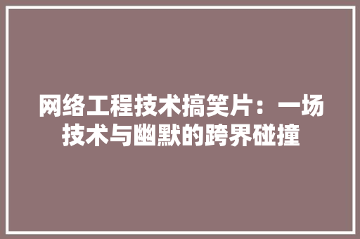 网络工程技术搞笑片：一场技术与幽默的跨界碰撞