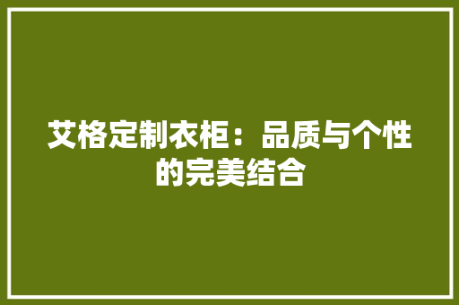 艾格定制衣柜：品质与个性的完美结合 室内设计