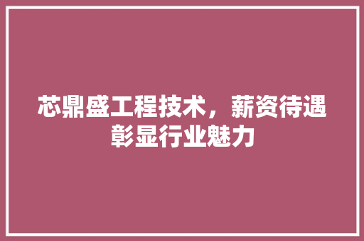 芯鼎盛工程技术，薪资待遇彰显行业魅力
