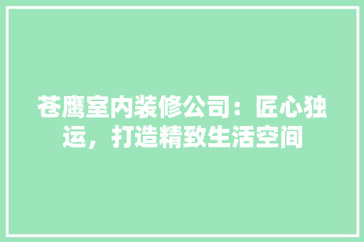 苍鹰室内装修公司：匠心独运，打造精致生活空间 室内设计