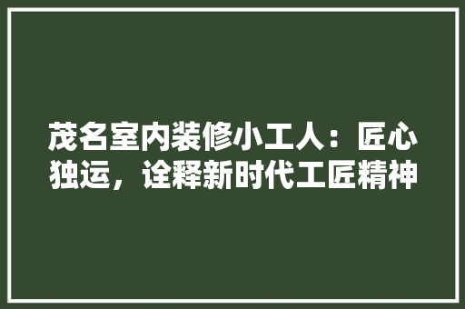茂名室内装修小工人：匠心独运，诠释新时代工匠精神 室内设计