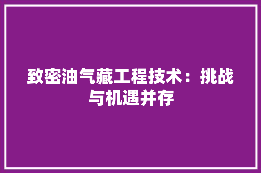 致密油气藏工程技术：挑战与机遇并存