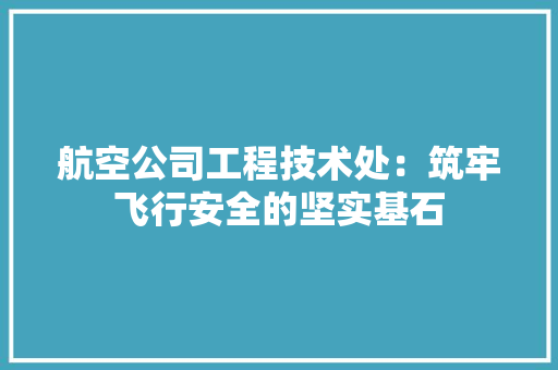 航空公司工程技术处：筑牢飞行安全的坚实基石 室内设计