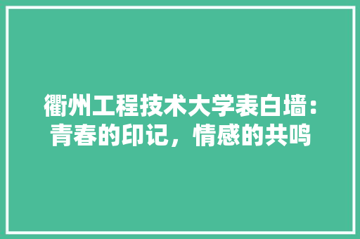 衢州工程技术大学表白墙：青春的印记，情感的共鸣 室内设计