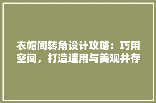 衣帽间转角设计攻略：巧用空间，打造适用与美观并存的角落 室内设计