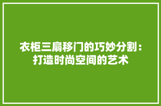 衣柜三扇移门的巧妙分割：打造时尚空间的艺术 室内设计