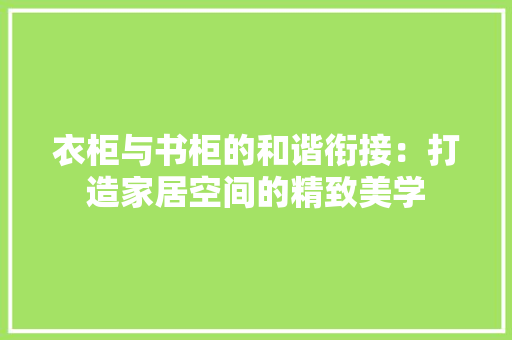 衣柜与书柜的和谐衔接：打造家居空间的精致美学 室内设计