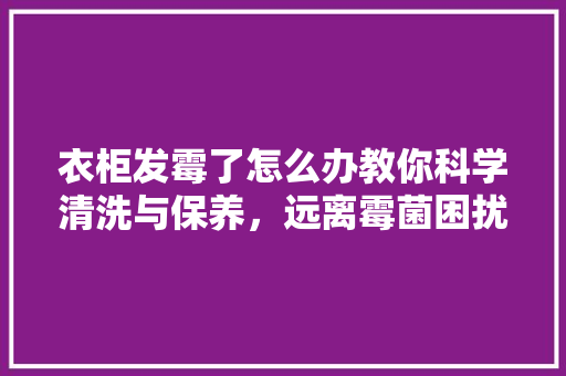 衣柜发霉了怎么办教你科学清洗与保养，远离霉菌困扰 室内设计