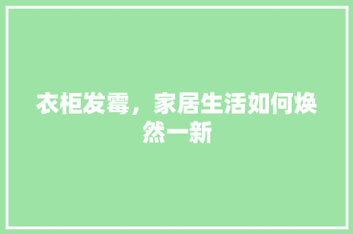 衣柜发霉，家居生活如何焕然一新 室内设计