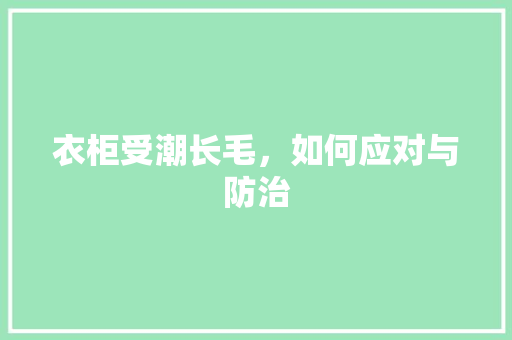 衣柜受潮长毛，如何应对与防治 室内设计