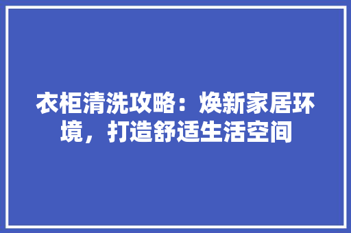 衣柜清洗攻略：焕新家居环境，打造舒适生活空间