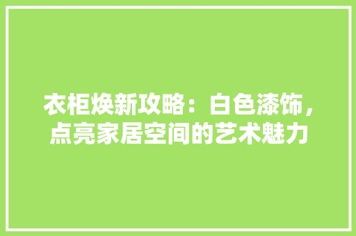 衣柜焕新攻略：白色漆饰，点亮家居空间的艺术魅力 室内设计