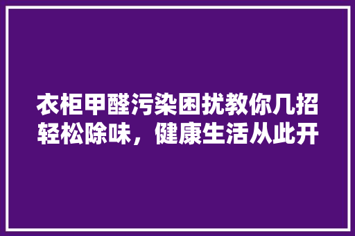 衣柜甲醛污染困扰教你几招轻松除味，健康生活从此开始 室内设计