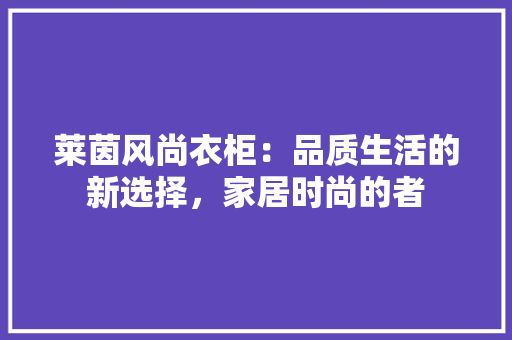 莱茵风尚衣柜：品质生活的新选择，家居时尚的者 室内设计