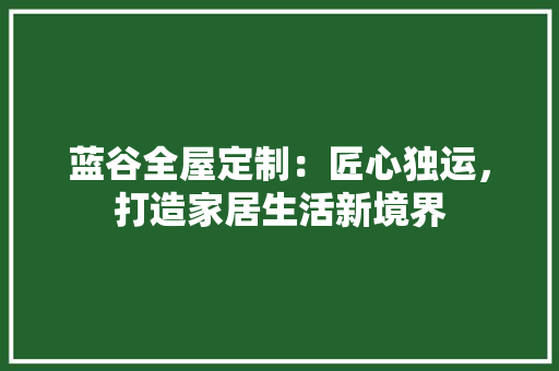 蓝谷全屋定制：匠心独运，打造家居生活新境界 室内设计
