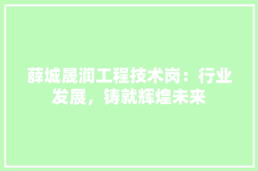 薛城晟润工程技术岗：行业发展，铸就辉煌未来
