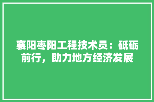 襄阳枣阳工程技术员：砥砺前行，助力地方经济发展