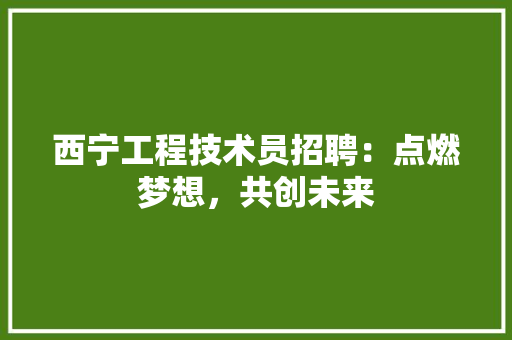 西宁工程技术员招聘：点燃梦想，共创未来 室内设计
