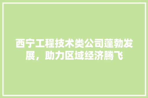 西宁工程技术类公司蓬勃发展，助力区域经济腾飞 室内设计