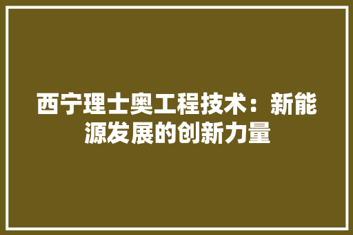 西宁理士奥工程技术：新能源发展的创新力量