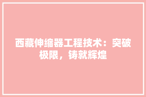 西藏伸缩器工程技术：突破极限，铸就辉煌