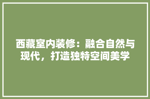 西藏室内装修：融合自然与现代，打造独特空间美学 室内设计