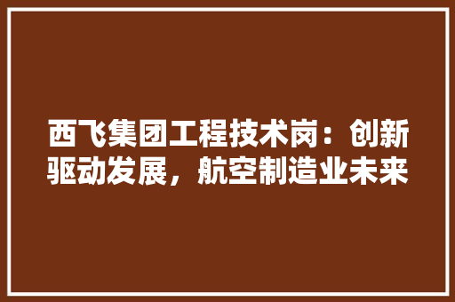 西飞集团工程技术岗：创新驱动发展，航空制造业未来 室内设计