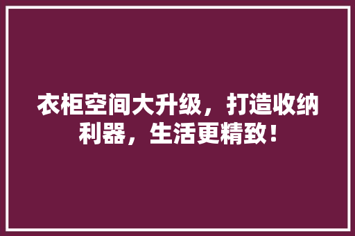 衣柜空间大升级，打造收纳利器，生活更精致！ 室内设计