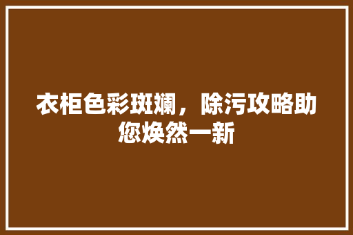 衣柜色彩斑斓，除污攻略助您焕然一新 室内设计