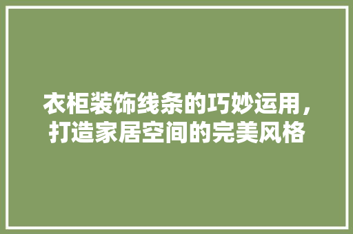 衣柜装饰线条的巧妙运用，打造家居空间的完美风格 室内设计