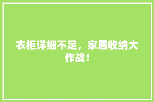 衣柜详细不足，家居收纳大作战！ 室内设计