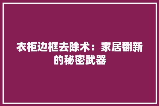衣柜边框去除术：家居翻新的秘密武器 室内设计