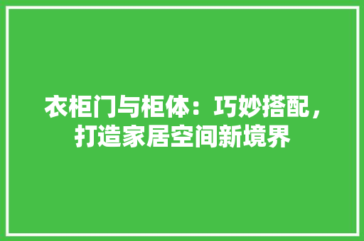 衣柜门与柜体：巧妙搭配，打造家居空间新境界 室内设计